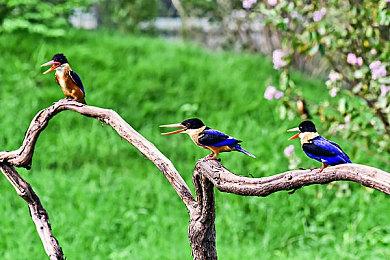 《星球大战：法外狂徒》新补丁上线 Steam 8.5GB